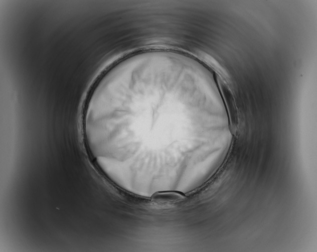 X0000094911384200712271504