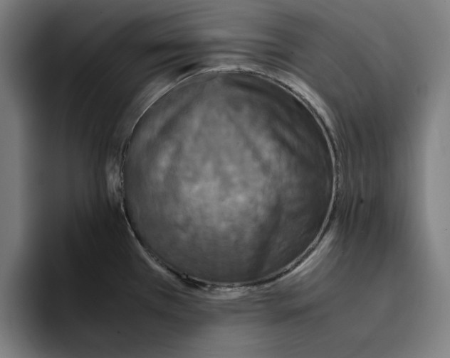 X0000094911385200712271504