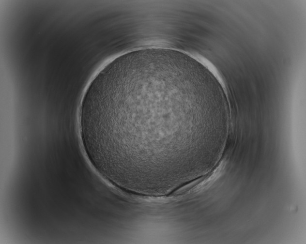 X0000094911389200712271503