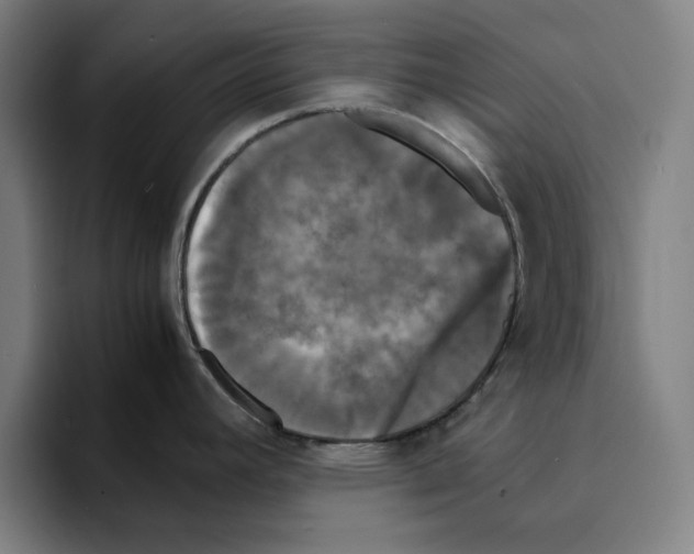 X0000094911392200712271503