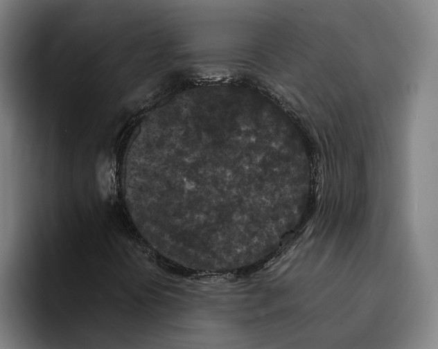 X0000094911394200712271503