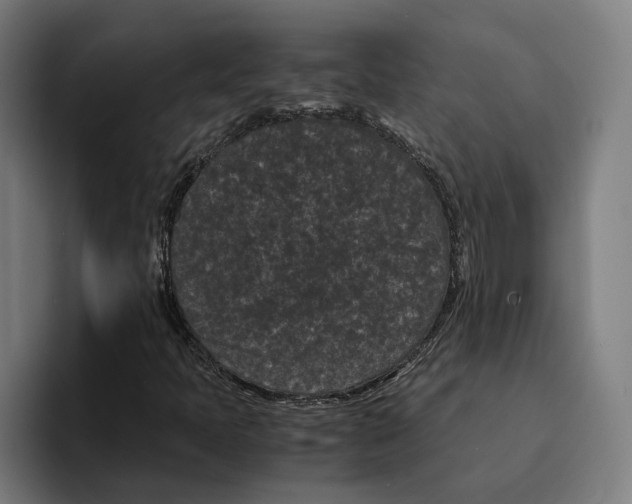 X0000094911397200712271503