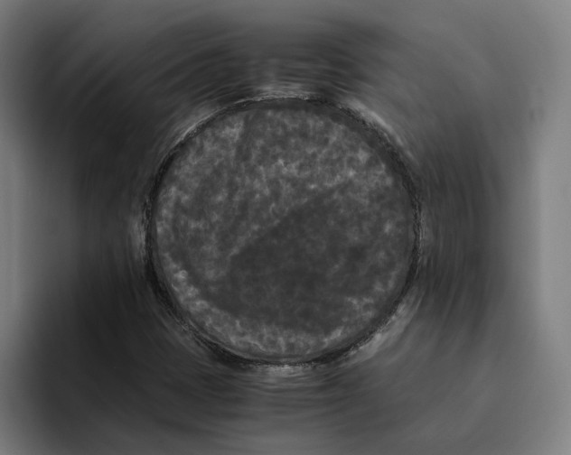 X0000094911401200712271503