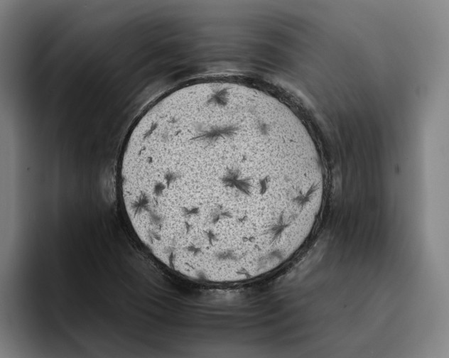 X0000094911409200712271503
