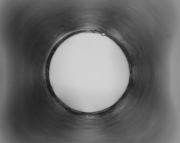 X0000094911412200712271503