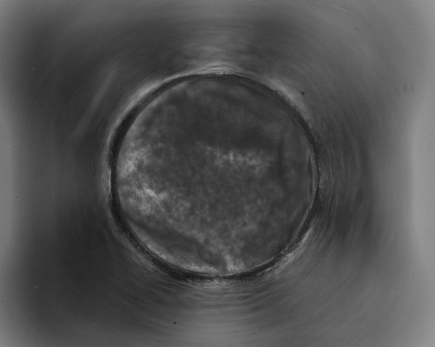 X0000094911414200712271503