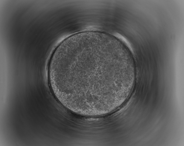 X0000094911419200712271503