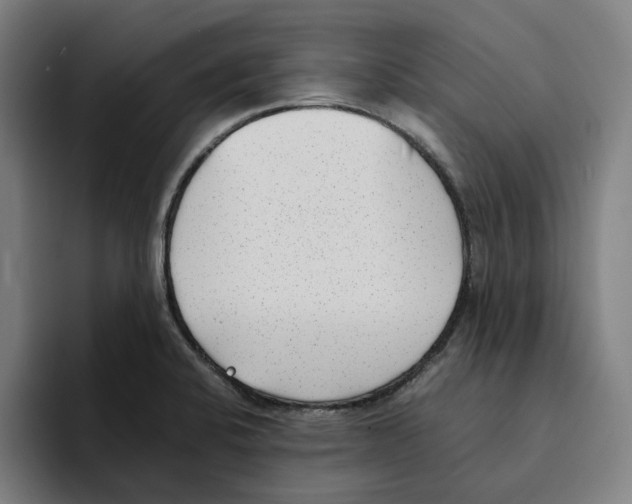 X0000094911424200712271503