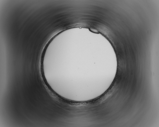 X0000094911426200712271503