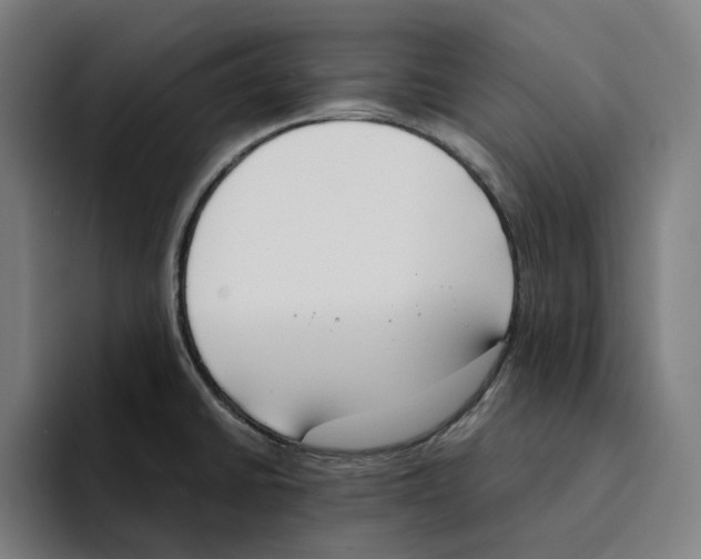 X0000094911430200712271503