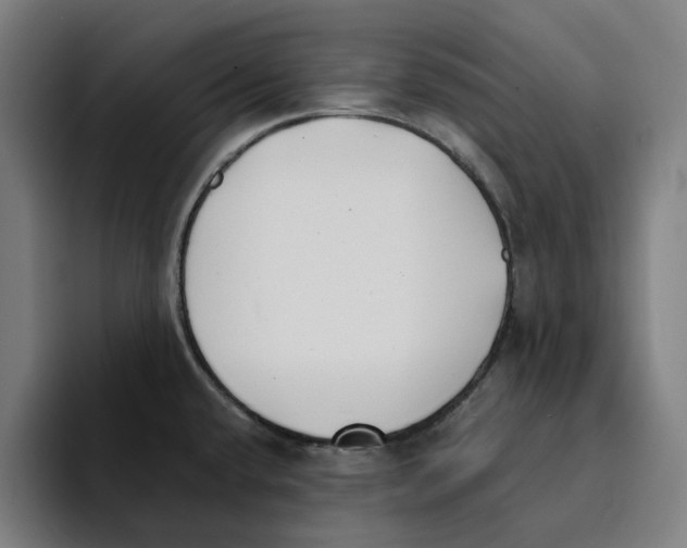 X0000094911432200712271503