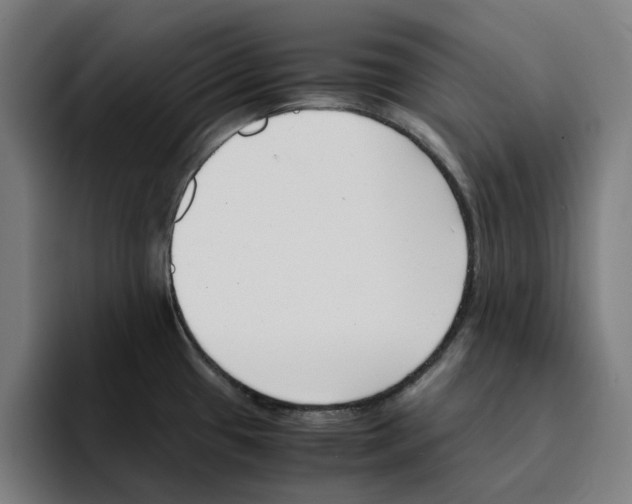 X0000094911433200712271503