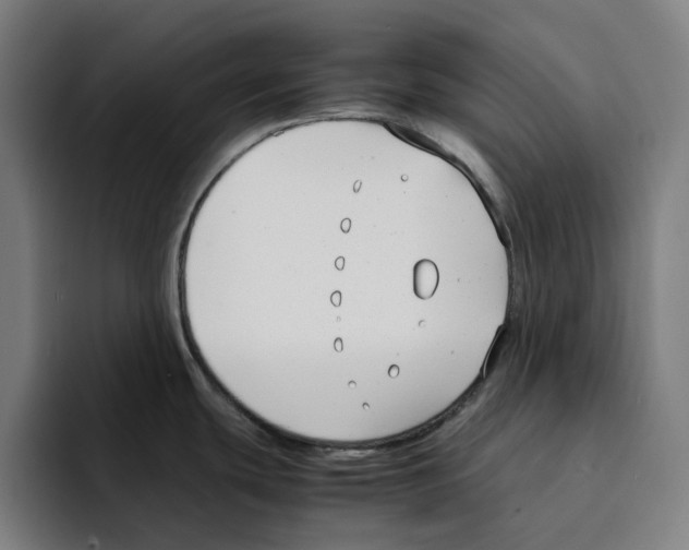 X0000094911439200712271503