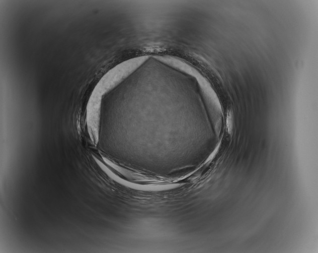 X0000094911444200712271503