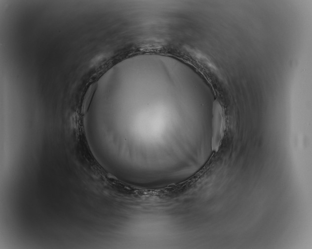 X0000094911445200712271503