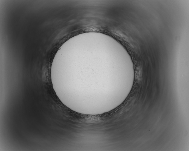 X0000094911446200712271503