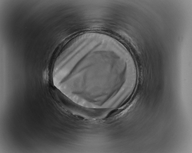 X0000094911449200712271503