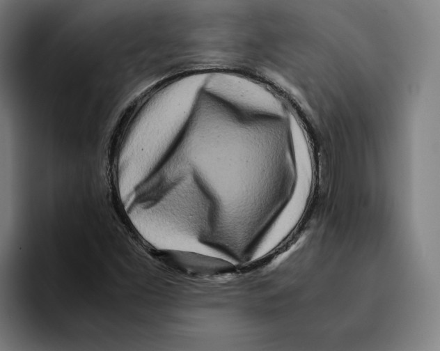 X0000094911453200712271503