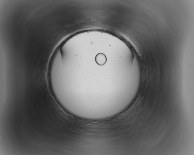 X0000094911460200712271503