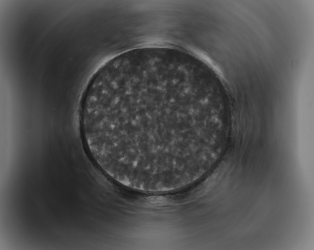 X0000094911463200712271503