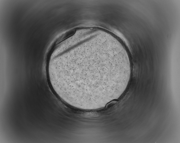 X0000094911464200712271502