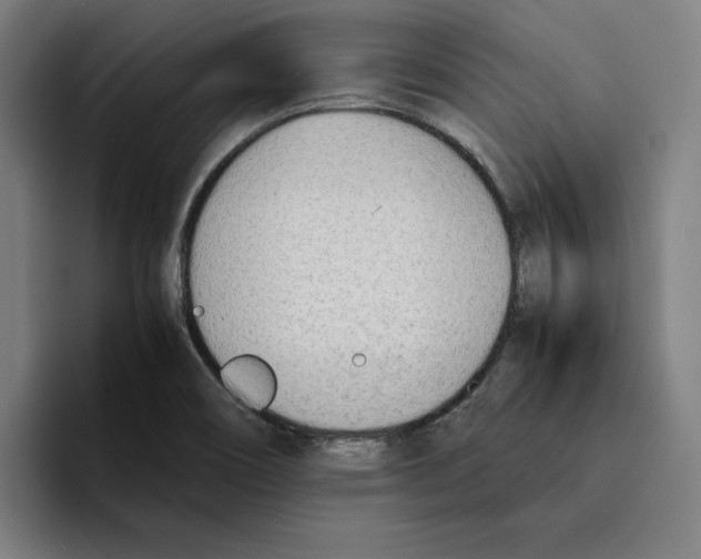 X0000094911466200712271502