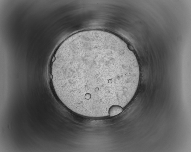 X0000094911467200712271502