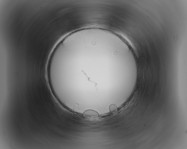 X0000094911468200712271502