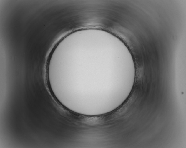 X0000094911470200712271502