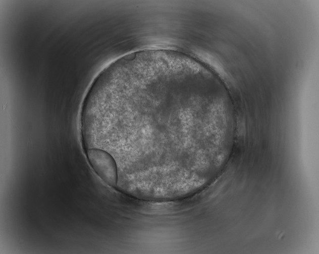 X0000094911471200712271502