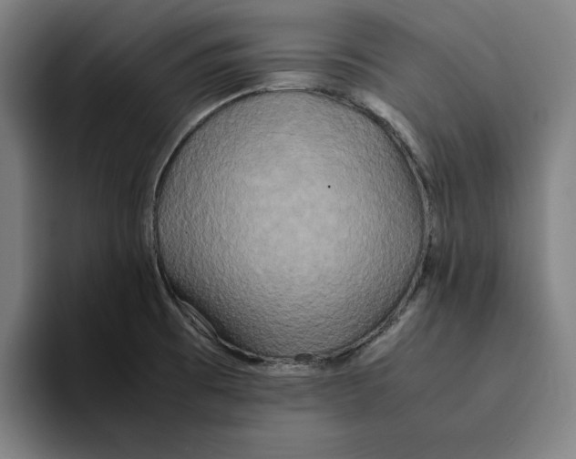 X0000094911473200712271502