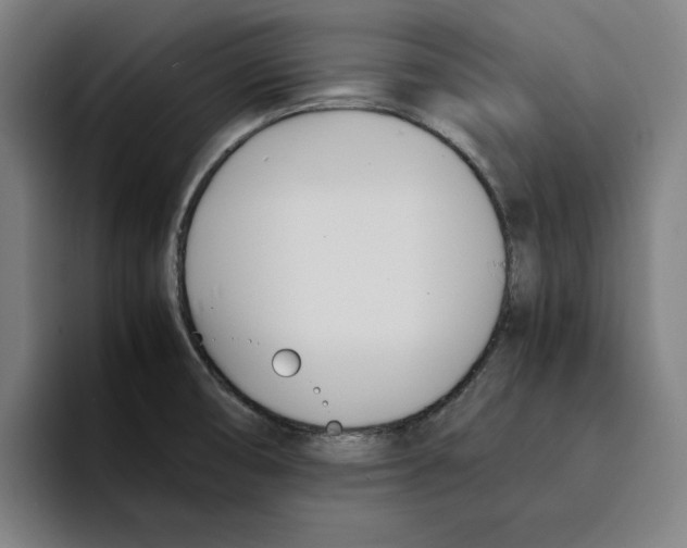 X0000094911474200712271502