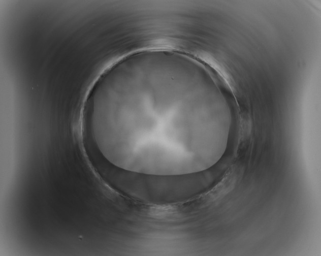 X0000094911477200712271502