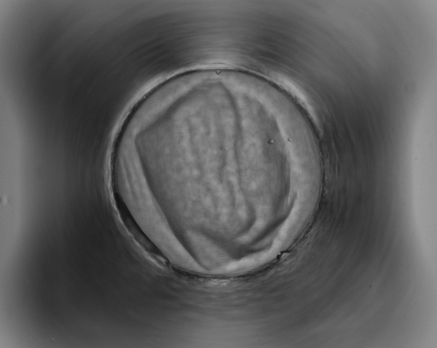 X0000094911480200712271502