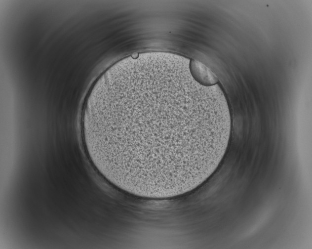 X0000094911482200712271502