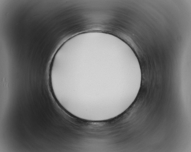 X0000094911483200712271502