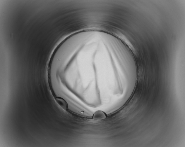 X0000094911484200712271502