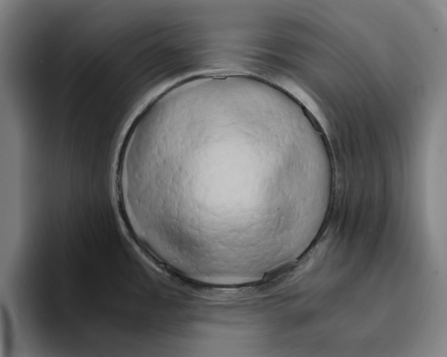 X0000094911485200712271502