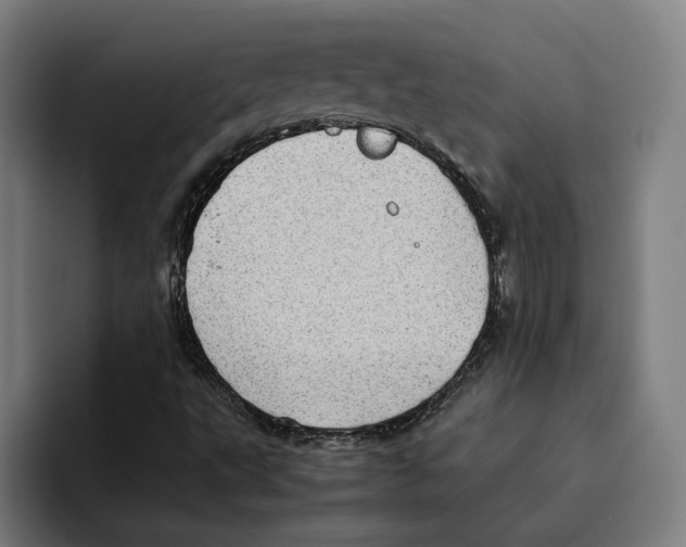 X0000094911495200712271502