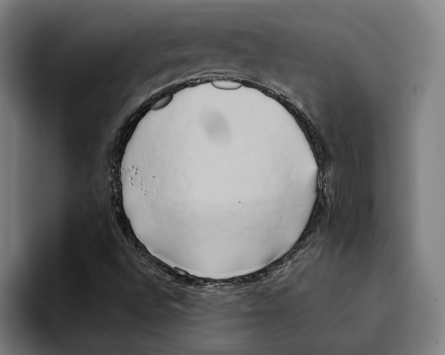 X0000094911496200712271502