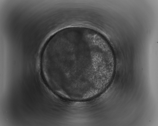 X0000094911506200712271502