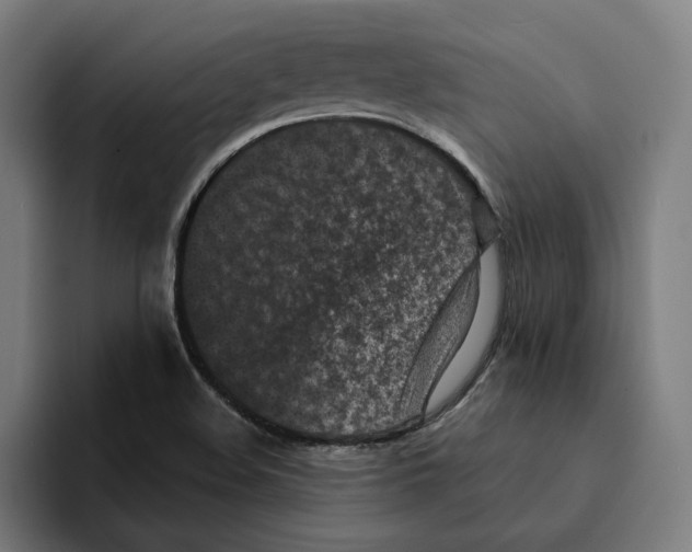 X0000094911508200712271502