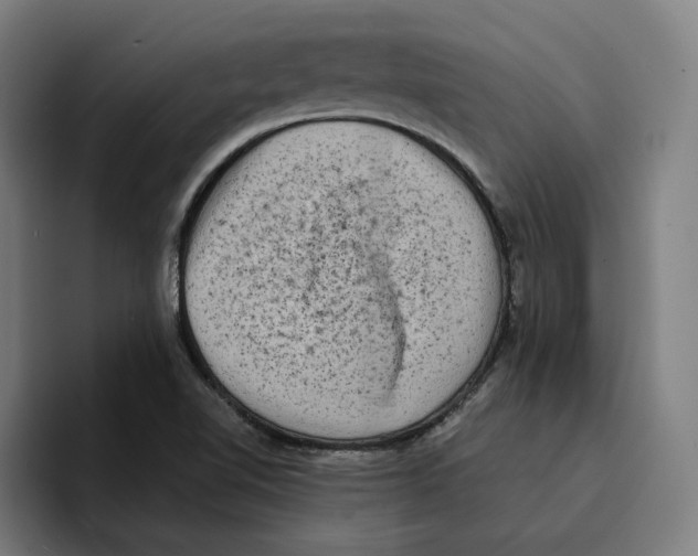 X0000094911510200712271502