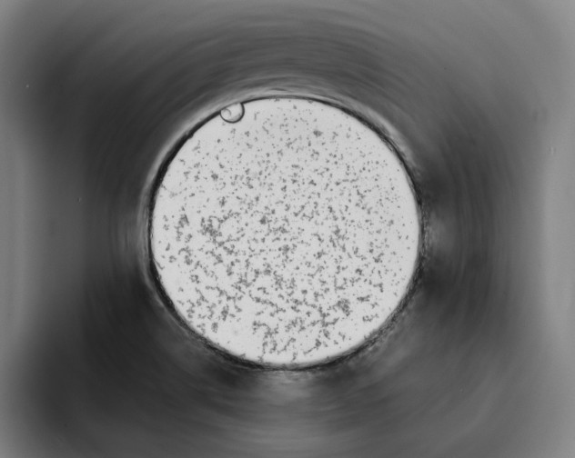 X0000094911514200712271502