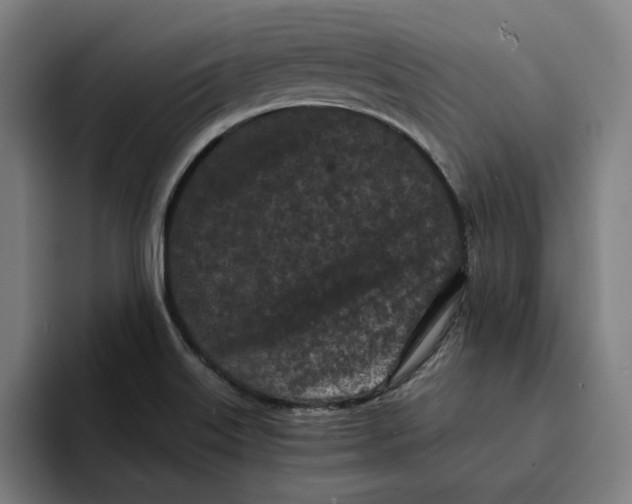 X0000094911515200712271502