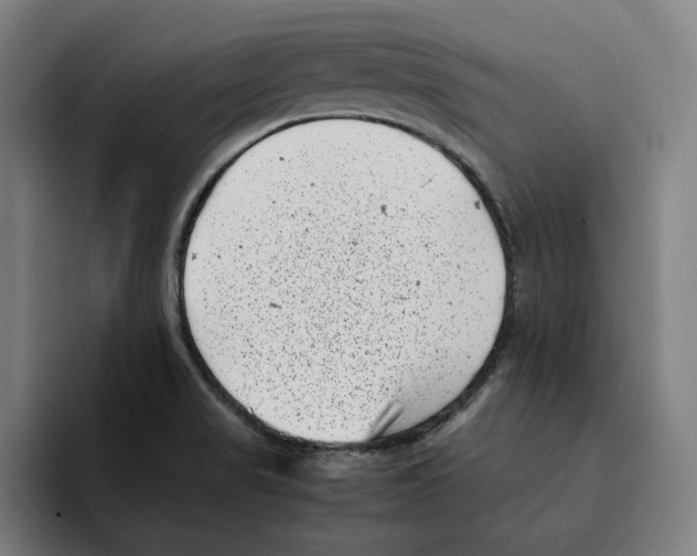 X0000094911517200712271502