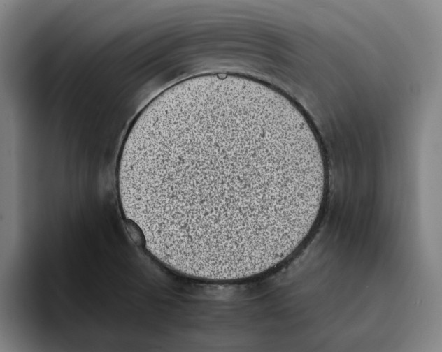 X0000094911521200712271502