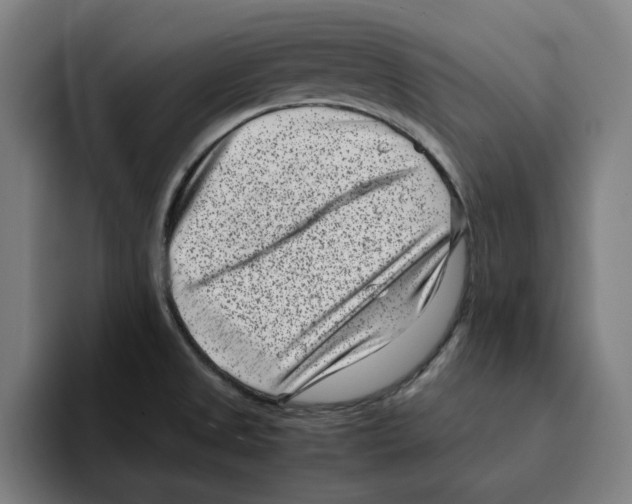 X0000094911525200712271502