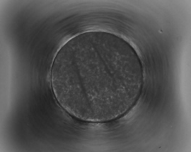 X0000094911529200712271502