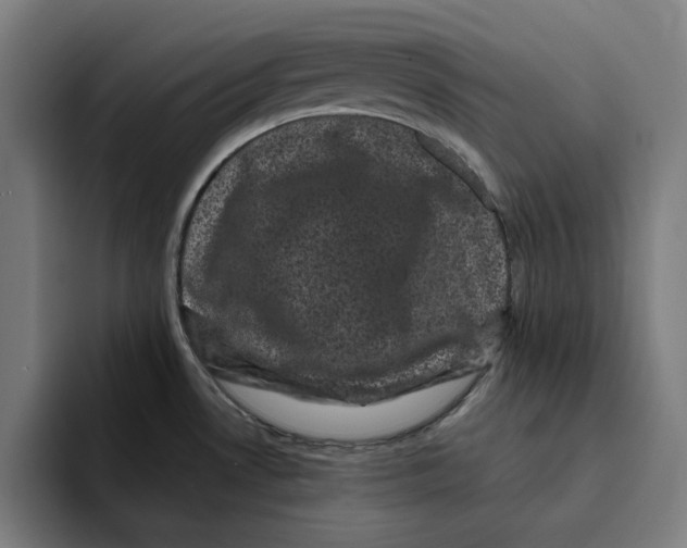 X0000094911530200712271502